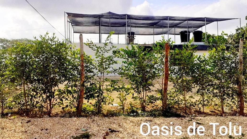 Oasis De Tolu Hotel Exterior foto