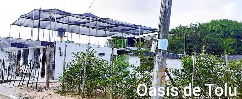 Oasis De Tolu Hotel Exterior foto